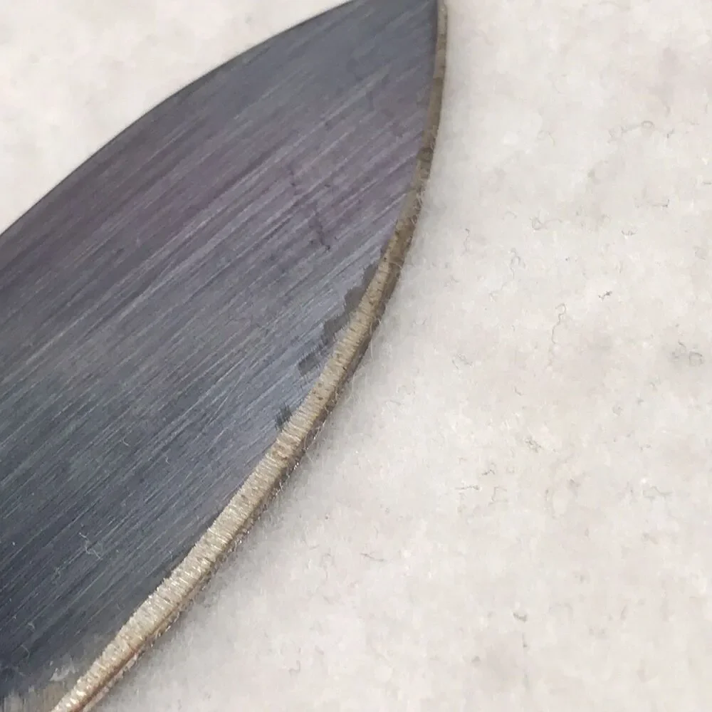 VICTORINOX Forschner Butcher Knife 9